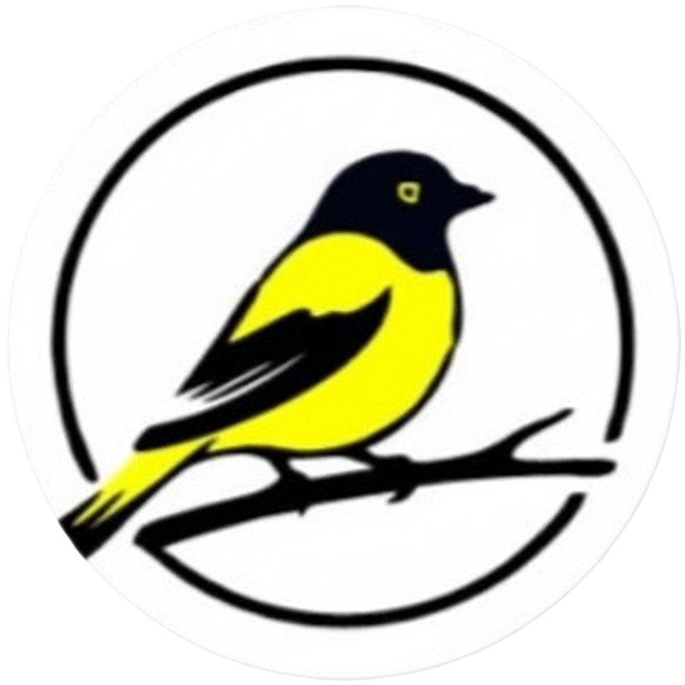 Hunza Oriole Hotel